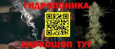 крисы Бердск