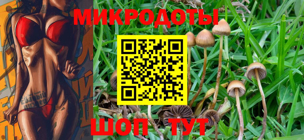 Галлюциногенные грибы GOLDEN TEACHER Сланцы
